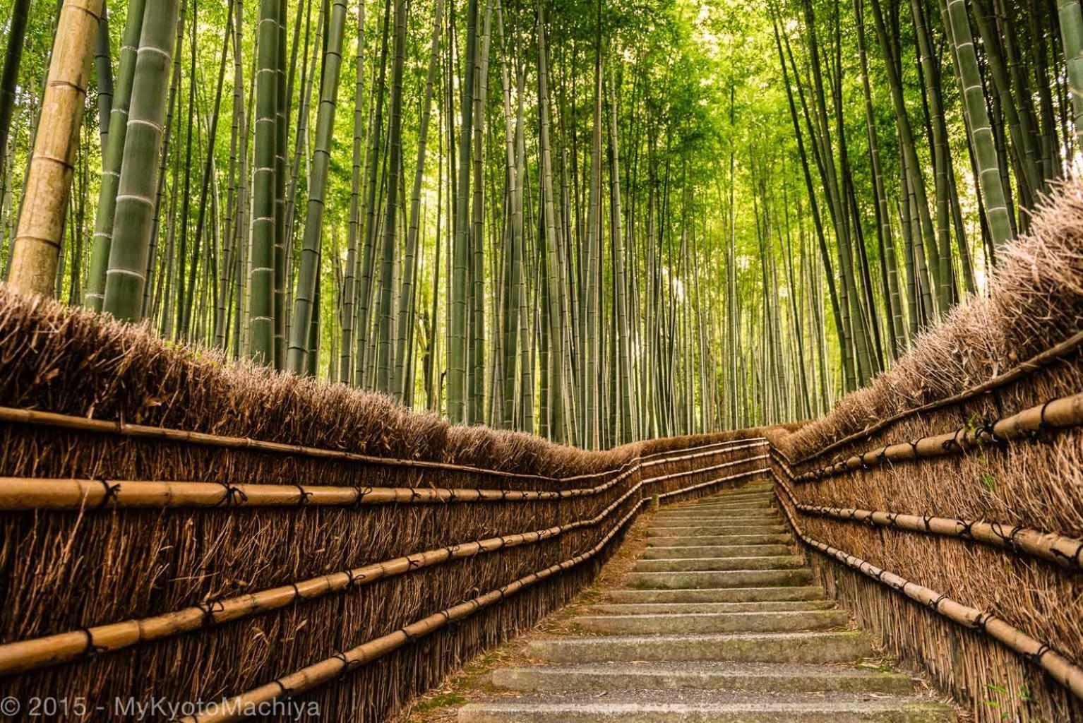 京都市 五条坂サムライ町家ヴィラ エクステリア 写真