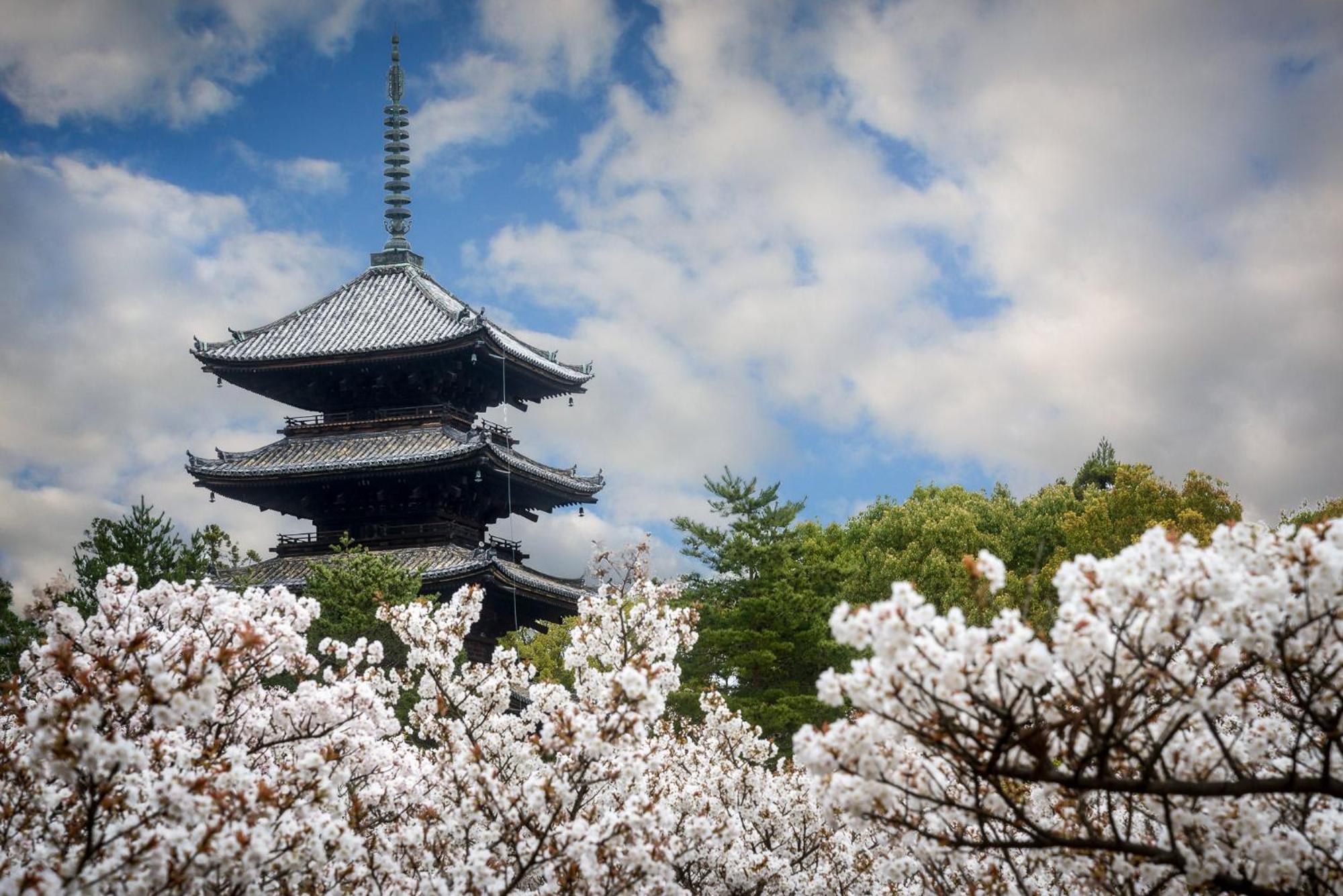 京都市 五条坂サムライ町家ヴィラ エクステリア 写真