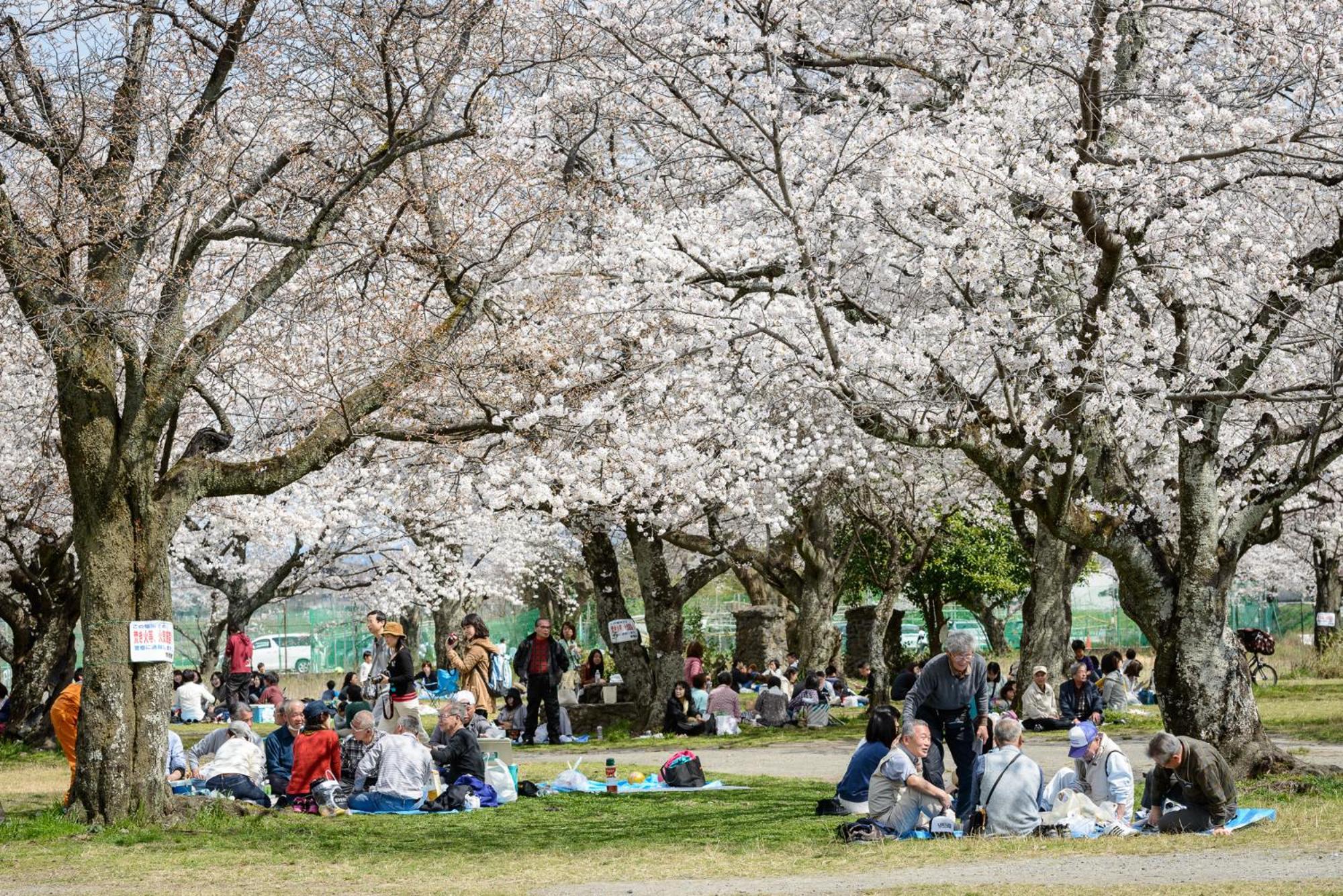 京都市 五条坂サムライ町家ヴィラ エクステリア 写真